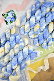 Forget-me-not